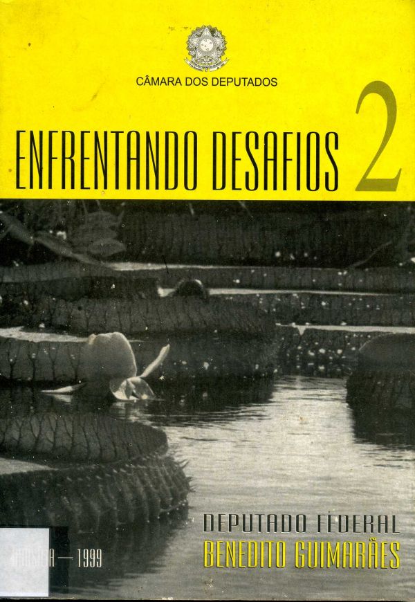 Enfrentando Desafios 2